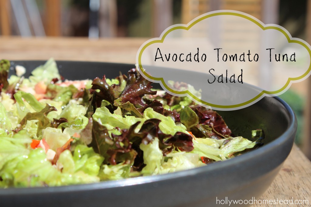 Paleo Lunch Ideas: Avocado Tomato Tuna Salad - Hollywood Homestead