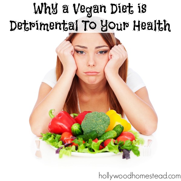 Why A Vegan Diet is Detrimental to your Health - Hollywood ...